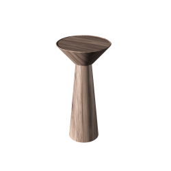 Cônica