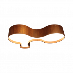 Orgânico