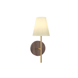 Cônica